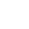 Therapist Description