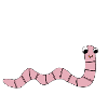 Earthworm *** blank