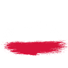 Poland Brush Flag Typography