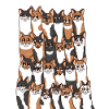 Spotted cats
