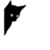 Black cat with shining eyes