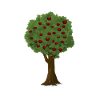 Apfelbaum Apfelpflücksaison Apfelgarten