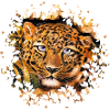 GRR II