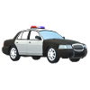 police car