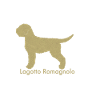 Lagotto Romagnolo