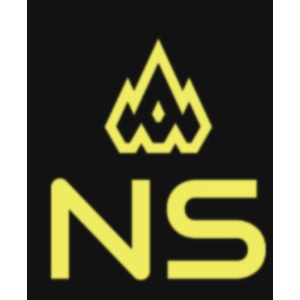 NS logo 2