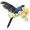 Hyacinth macaw