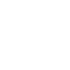 Dolphin Delfin