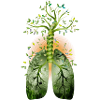 The forest, the green lung. Tree with lung