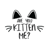 Are you kitten me?