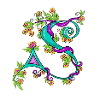 Letter S.