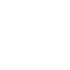 1981