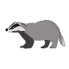 Badger *** blank