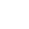 Taube Brieftaube Tauben Geschenk