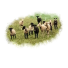Mouton