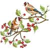 Les oiseaux