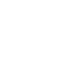 Evolution Busfahrer Bus