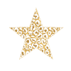 Star leopard