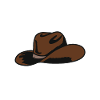 Brown cowboy hat