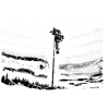 Nature tree
