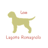 Lagotto Love