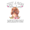 Dachshund