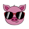 Cool pig