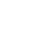 Snowflake Dandelion Pusteflower Gift