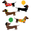 Summer Dachshund