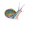slug