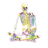 skeleton