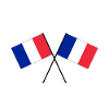 France French Crossed Flags Flags