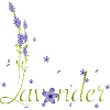 delicate lavender calligraphy with lavender flowers
