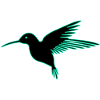 Hummingbird Bird Tropical Summer
