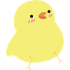 Cute Chick