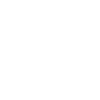 Megaphone Speaker Demo