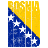Bosnia flag