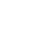 Vegan Feminist