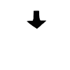 Sky bison