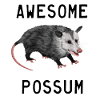 Opossum – Awesome Possum