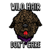 Lagotto Romagnolo Wild Hair Don't Care Barbet