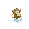 Moineau sur glaçons