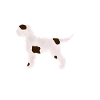 Lagotto Romagnolo