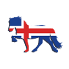 Icelandic flag