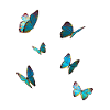 Butterflies Blue