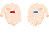 Choose Wisely - Die Entscheidung