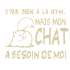 Humour chat