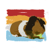 Guinea pig
