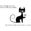 Chat énervé