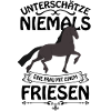 Friese Pferd
